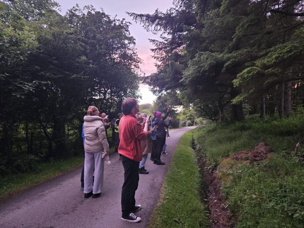 A group of people stand on a road at sunset looking for bats