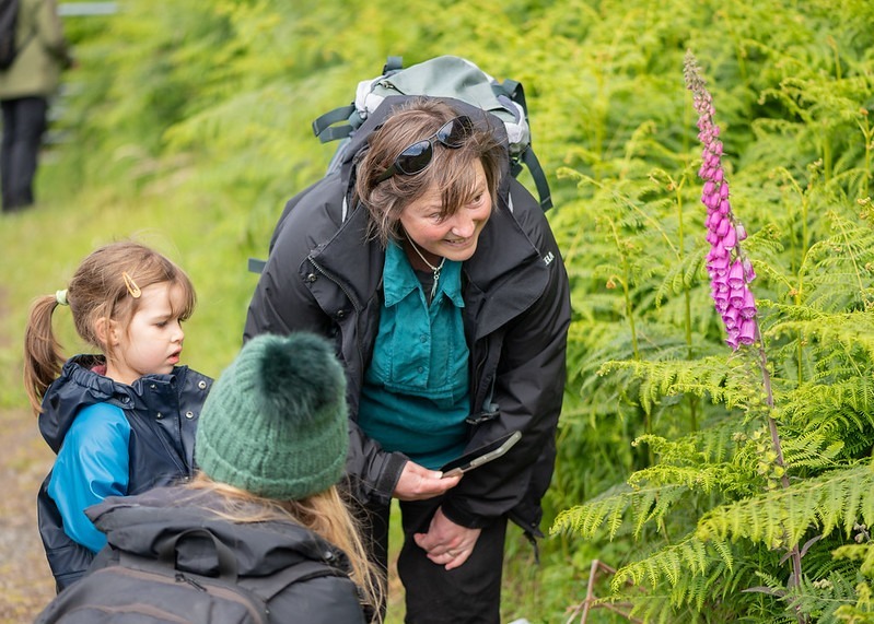 Three people, including a child, look at a fox glove growing among ferns