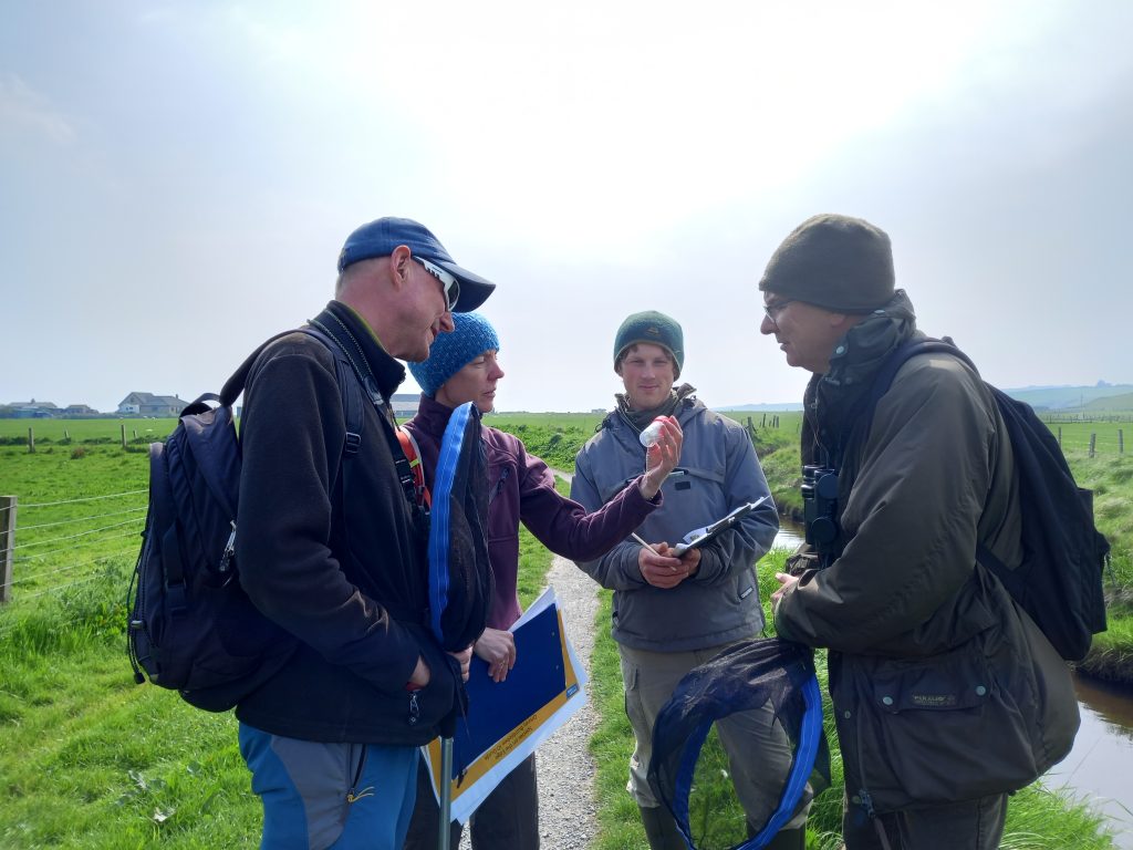 A group of BeeWalk participants in Orkney