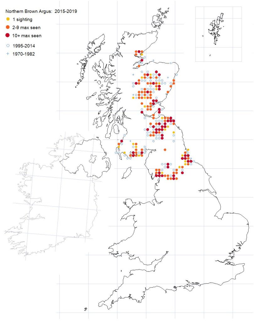 Northern brown argus distribution map