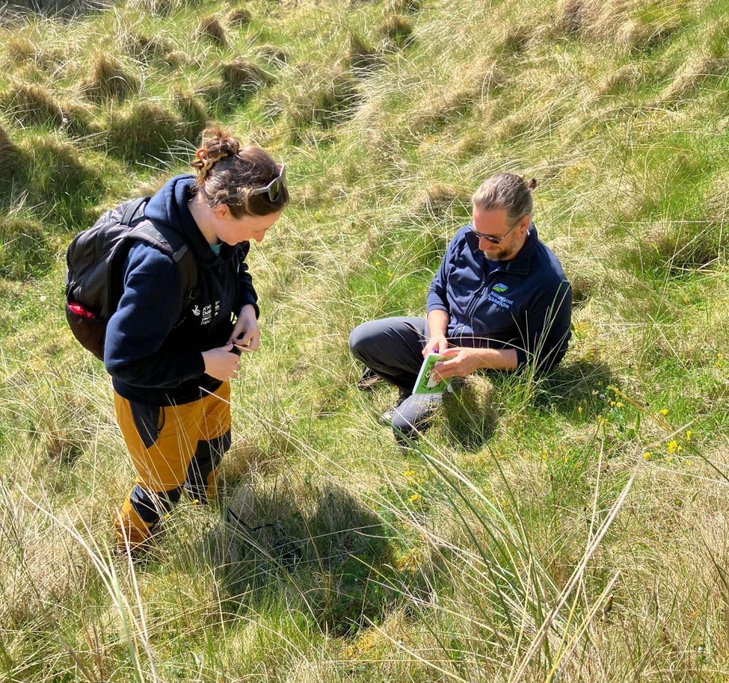 Two people in a grassy field. One sits in the grass while the other stands.