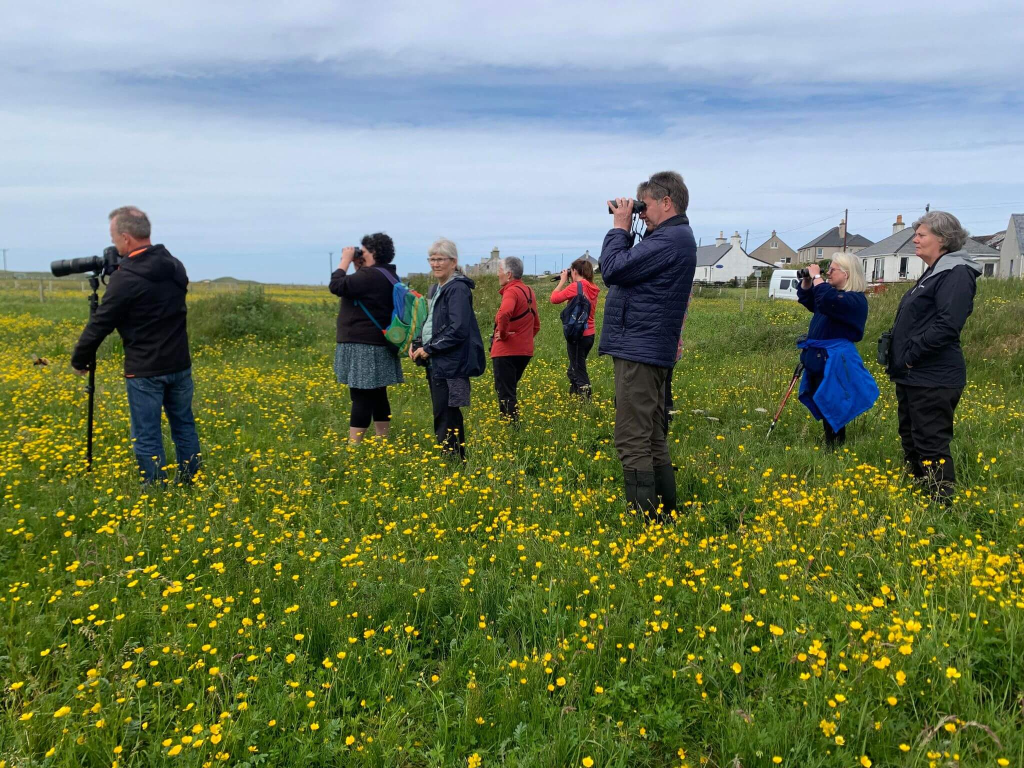 A group of people look through binoculars in a grassy field dotted with yellow wildflowers