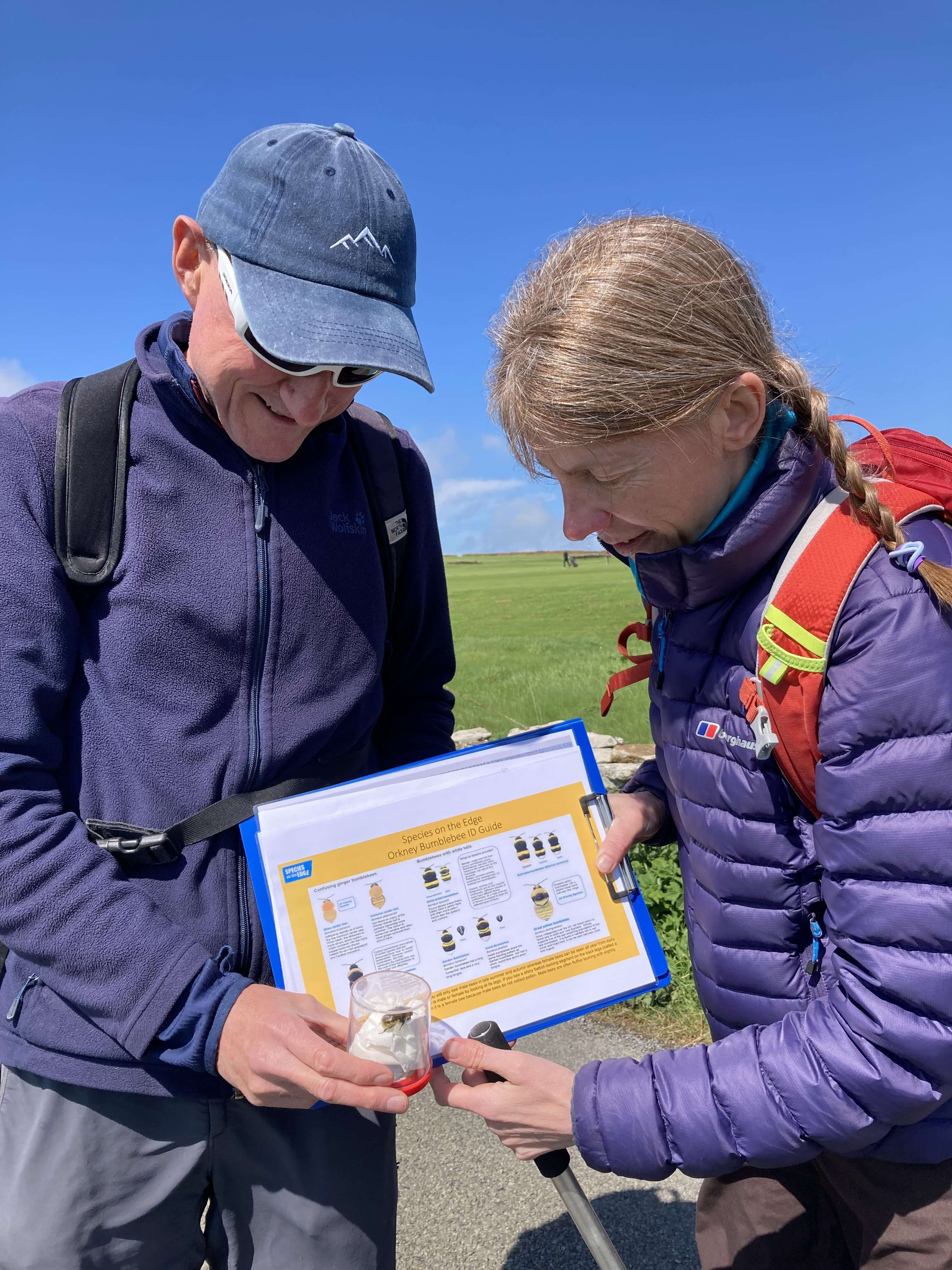 Two people hold a bumblebee identification guide sheet