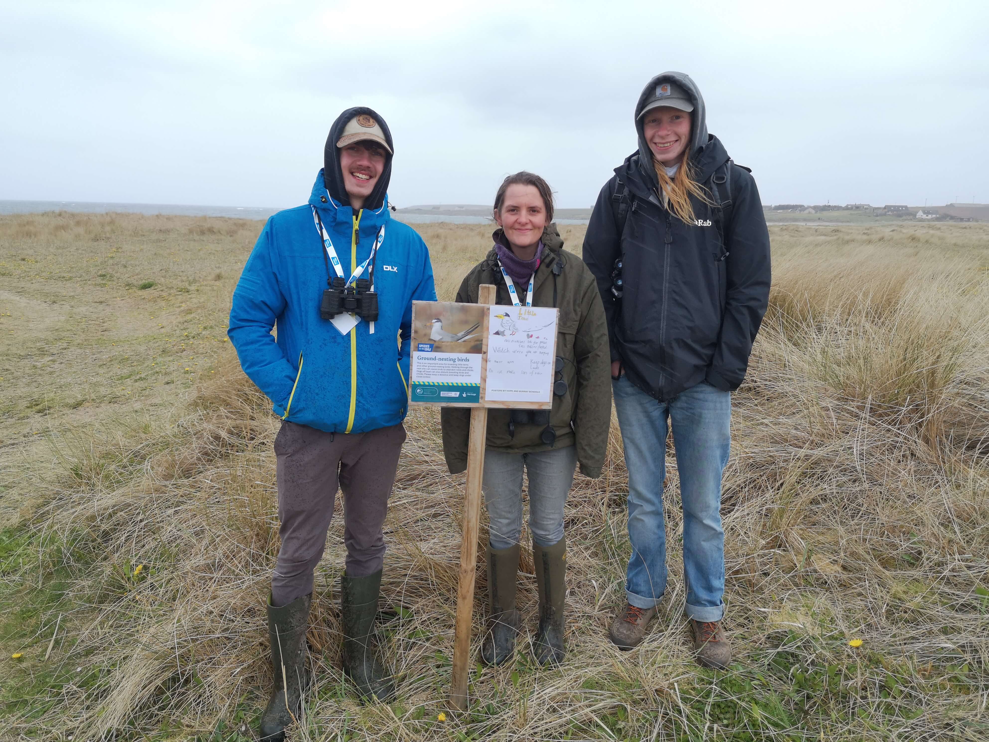 Three people stand behind a sign with a picture of a tern on it. The sign provides information on tern disturbance.