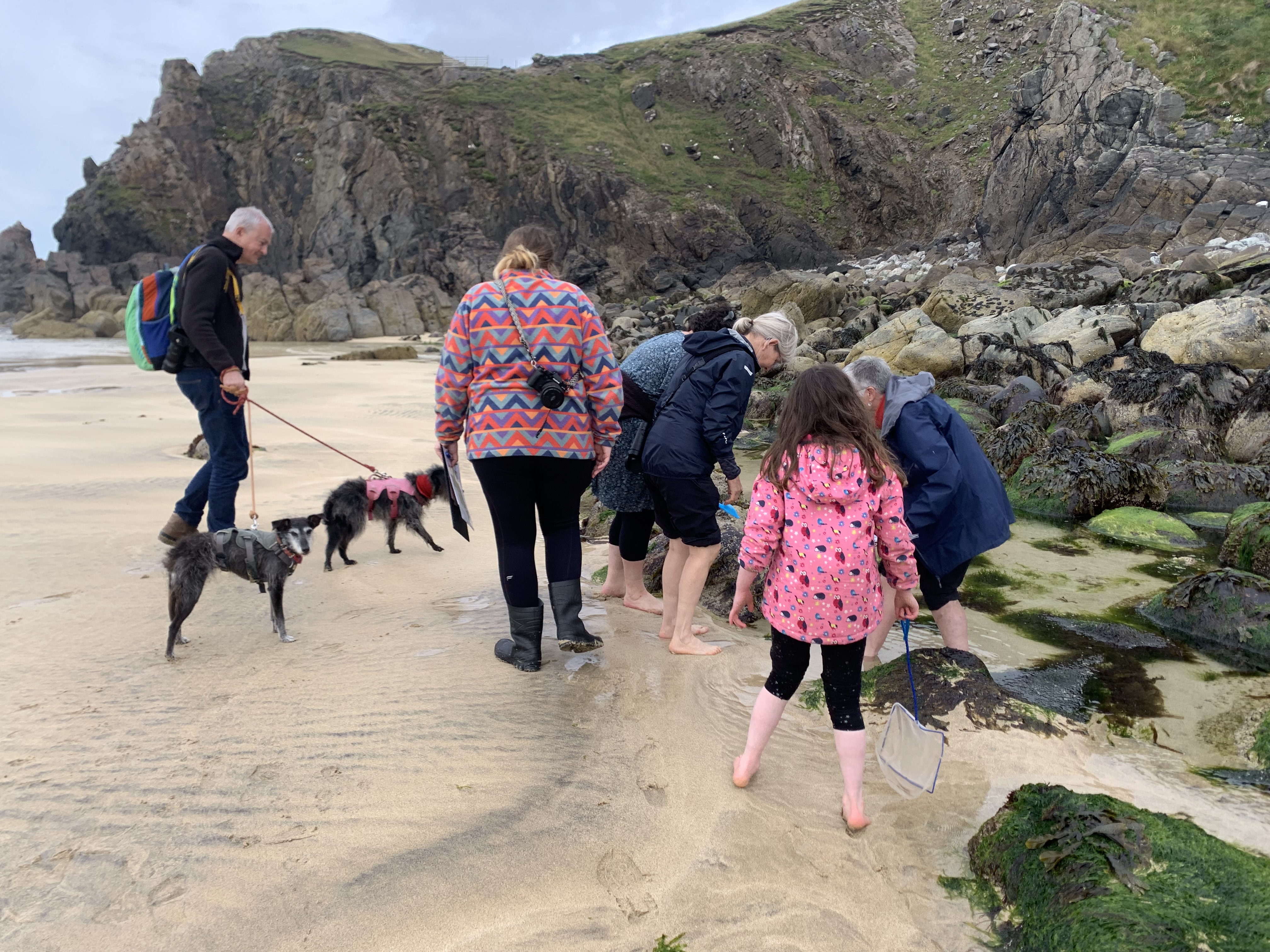 A group of people explore rockpools on a beach