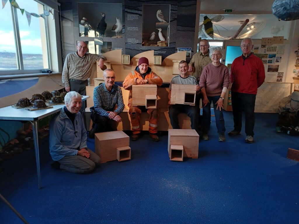 Caithness Environment Volunteers building rabbit escape tunnels (c) Patti Bremner