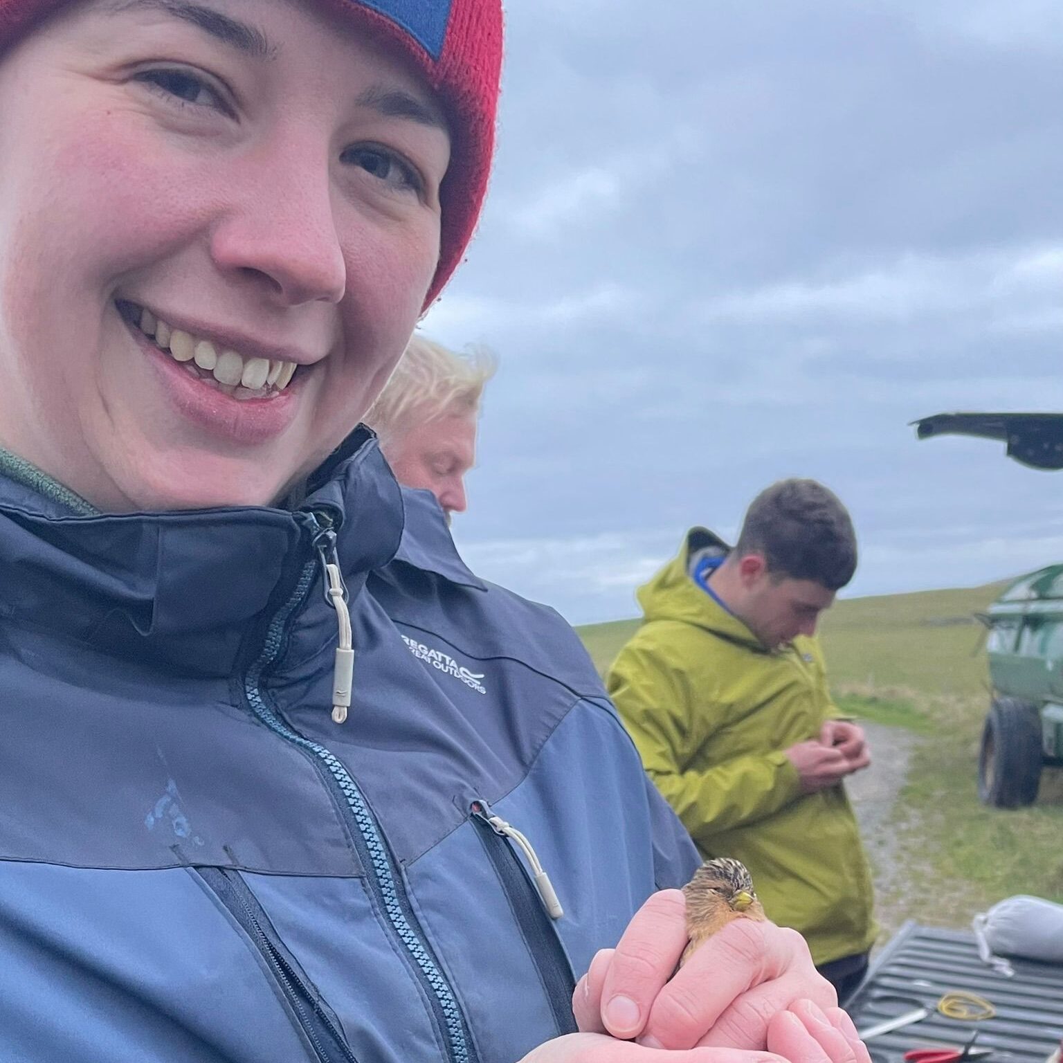 A woman holds a small bird, a Twite, in her hands