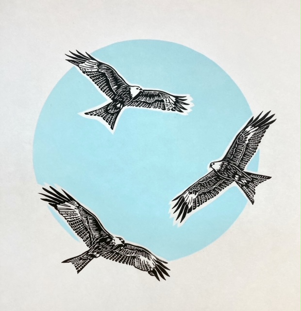 Sketches of three birds of prey set against a circle of blue with in a square of white.