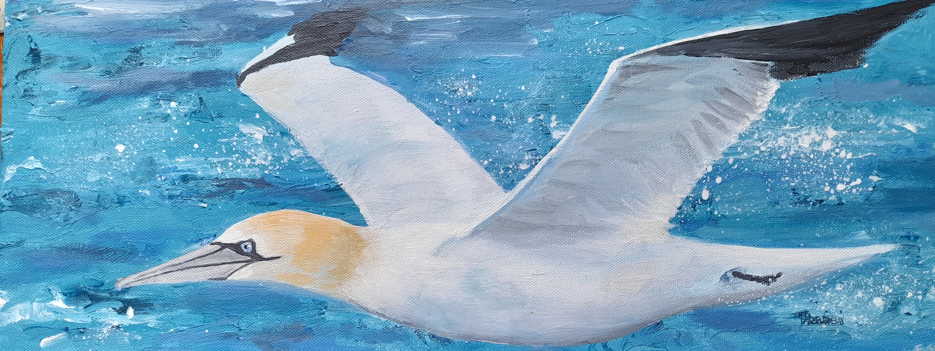 A painting of a gannet against a blue background