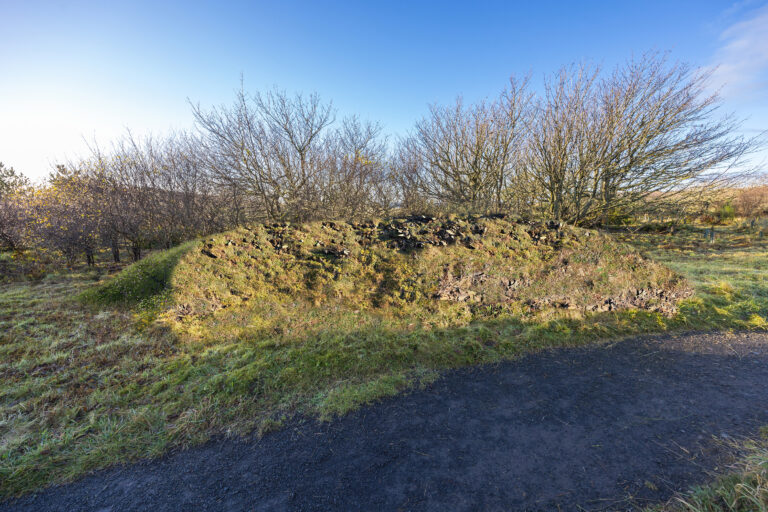 A grassy bank