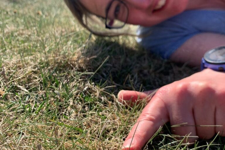 Helen and a Scottish primrose