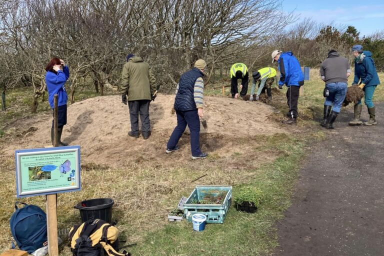 A group of people planting