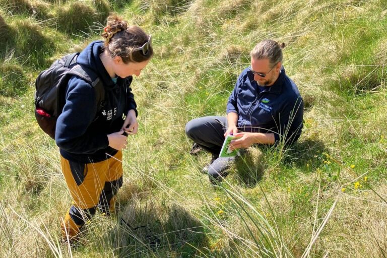 Two people in a grassy field. One sits in the grass while the other stands.