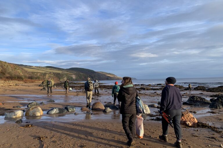 A group of people walk along a beach.