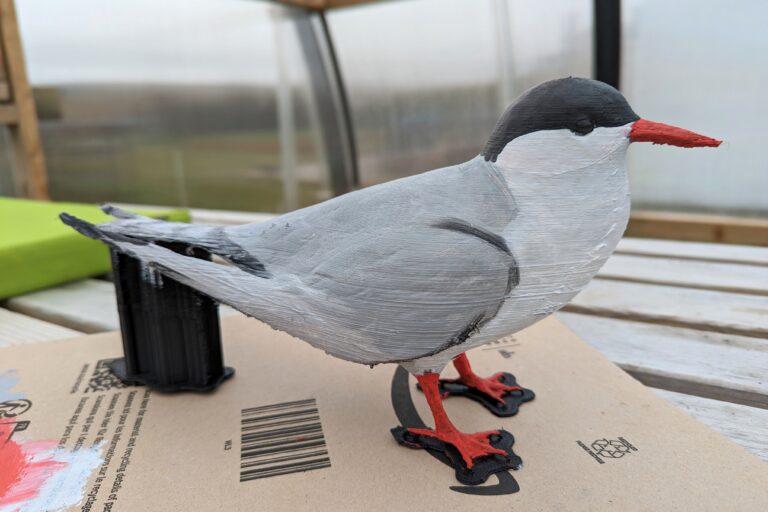 A painted model tern