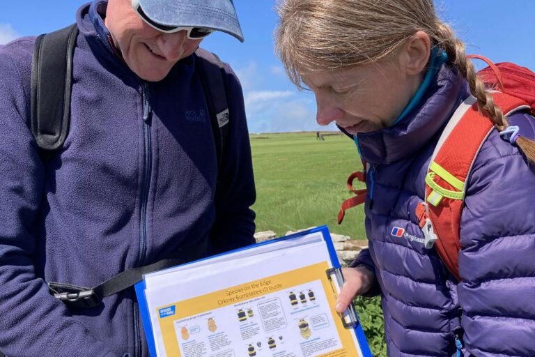 Two people hold a bumblebee identification guide sheet