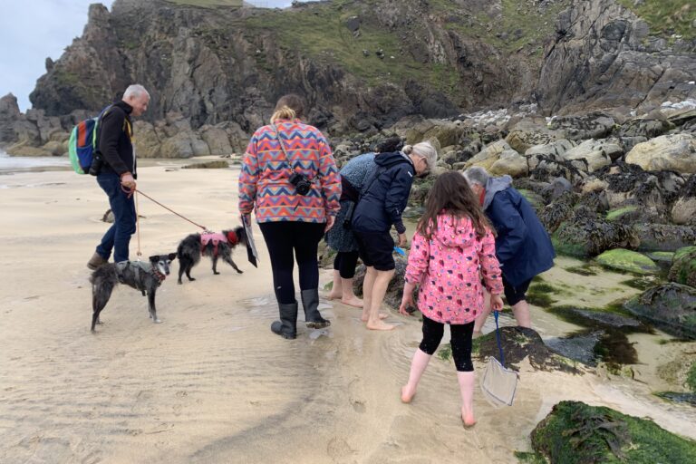 A group of people explore rockpools on a beach