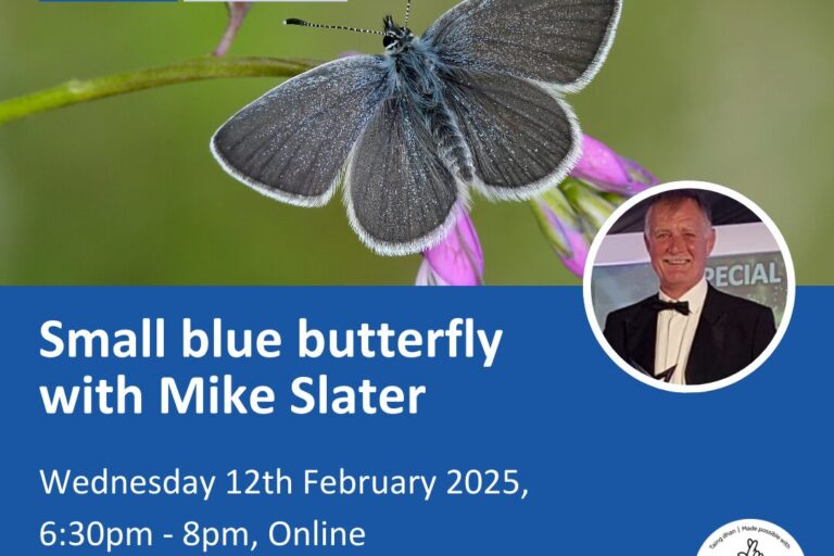 Small blue butterfly with Mike Slater