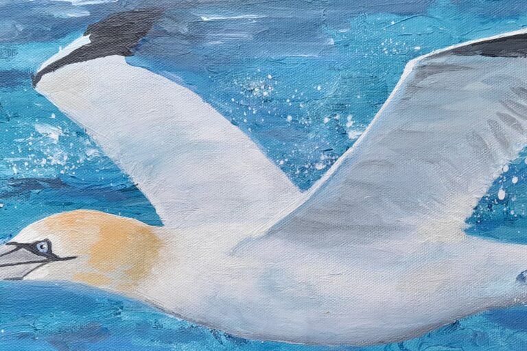 A painting of a gannet against a blue background