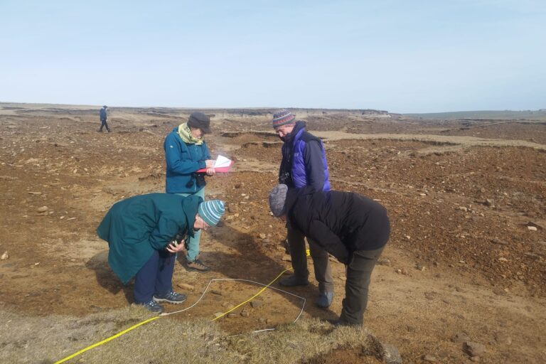 A group of people lay a transect n rocky brown ground