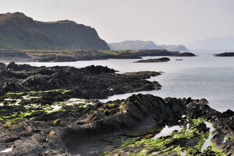 Isle of Seil Bioblitz, 8 & 9 August