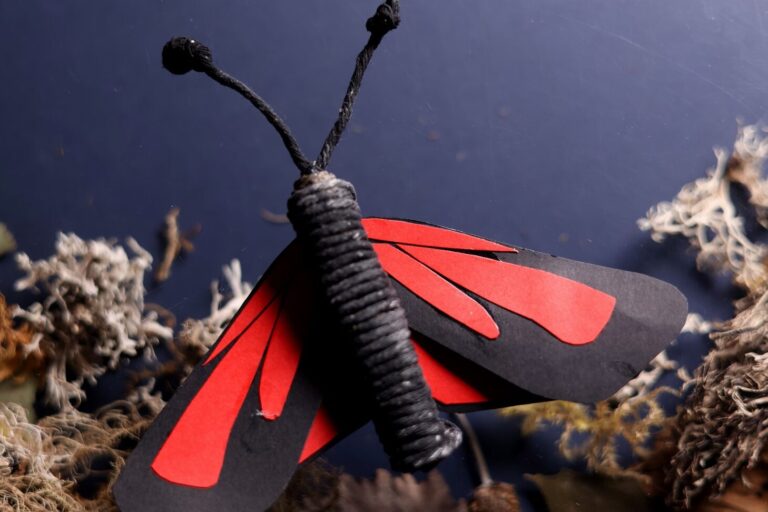 The Wonderful World of Moths: a stop-motion animation