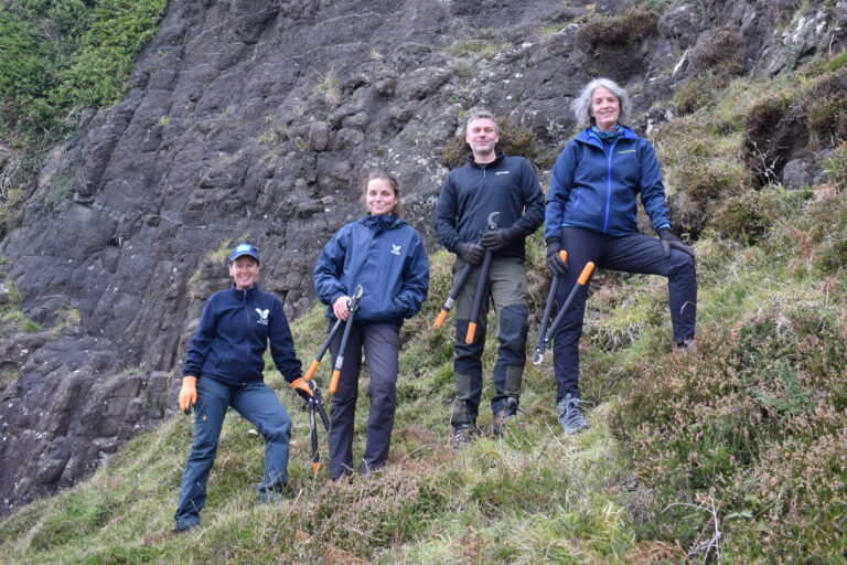 Autumn update from Argyll and the Inner Hebrides