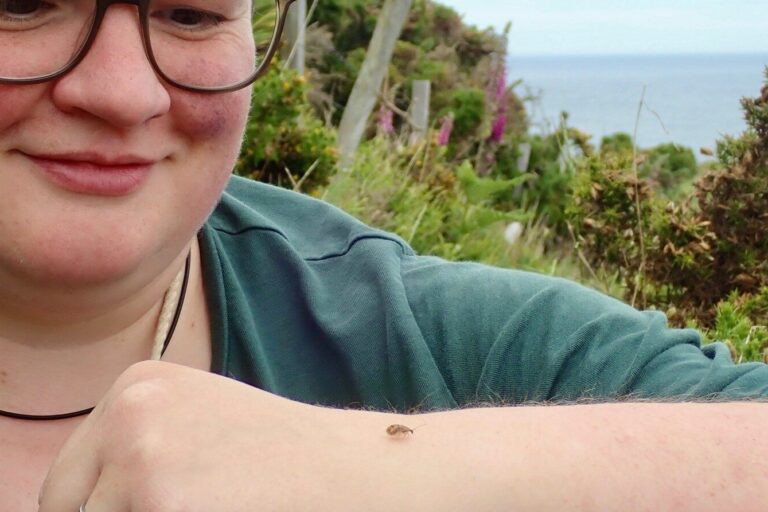 Autumn update from the East Coast