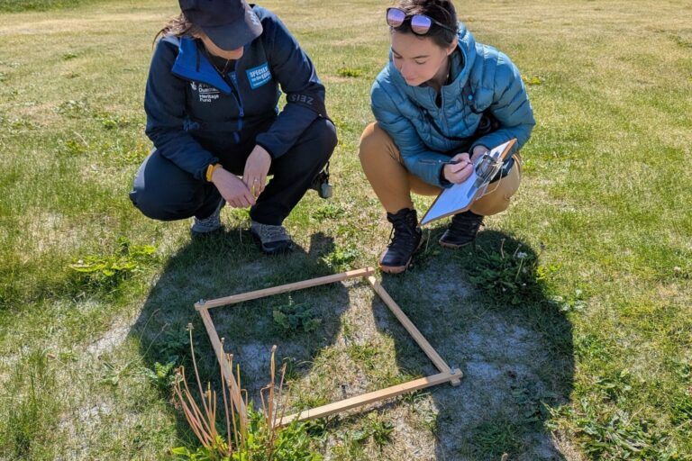 Autumn update from the Outer Hebrides