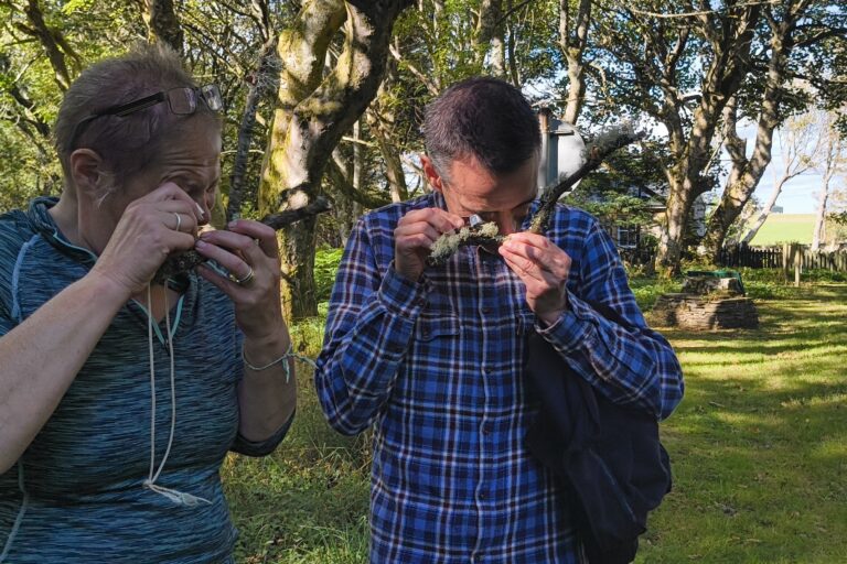 Autumn update from the North Coast