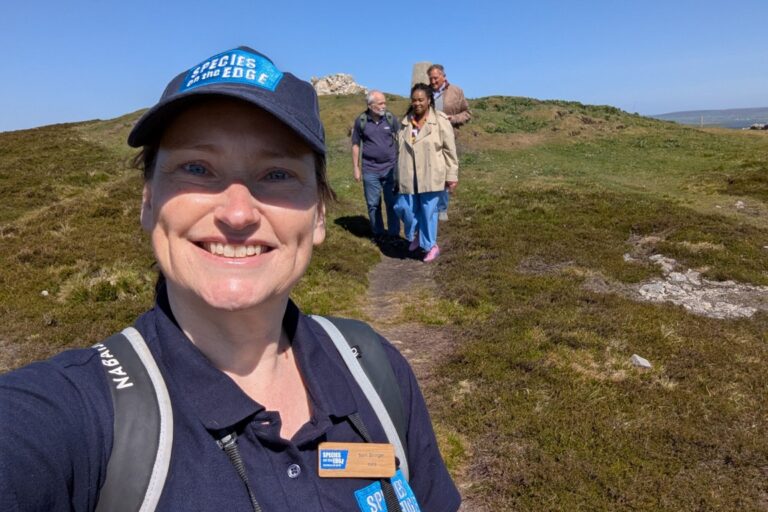 Autumn update from Orkney