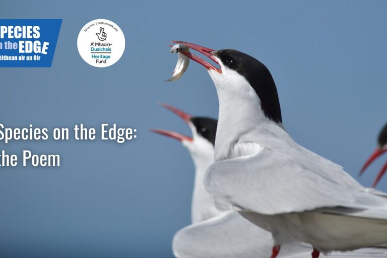 Species on the Edge: the Poem!