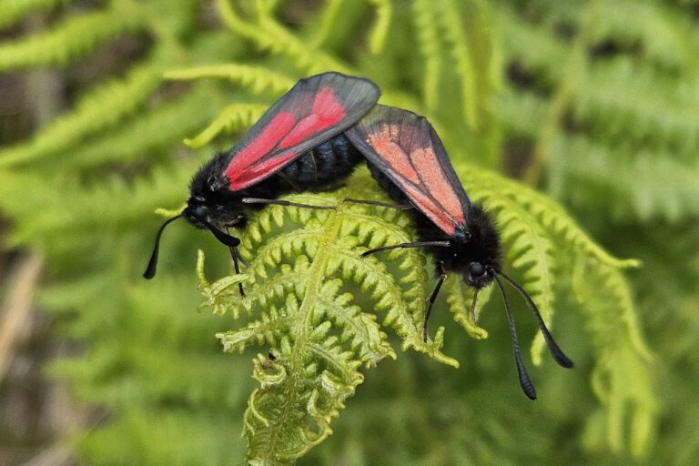 Clay Modelling Creative Workshop, Oban, 1 March
