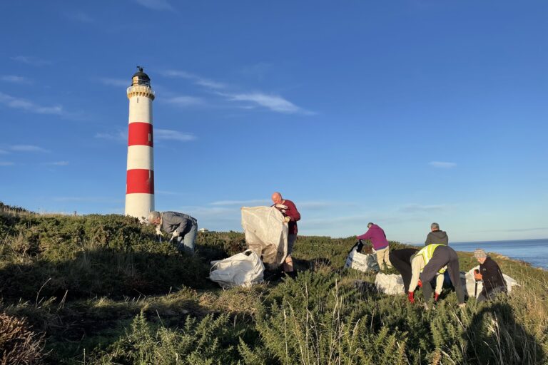 Habitat Work Party, Tarbat Ness, 6 February