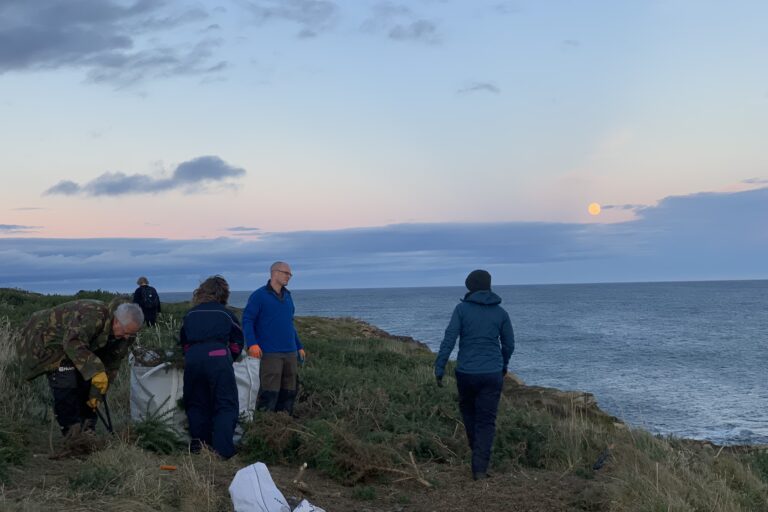 Habitat Work Party, Tarbat Ness, 20 February
