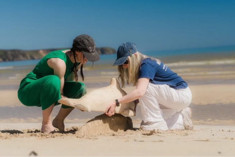 Tha Fèis Fiadh-bheatha nan Eilean a’ tilleadh ann an 2026: seo mar a ghabhas tu pàirt