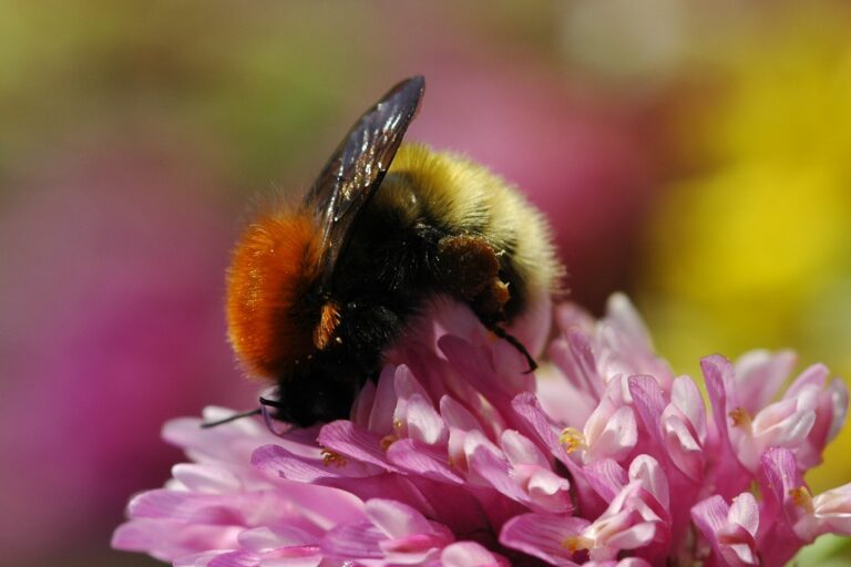 Kids Art Class, Shetland, 16 May