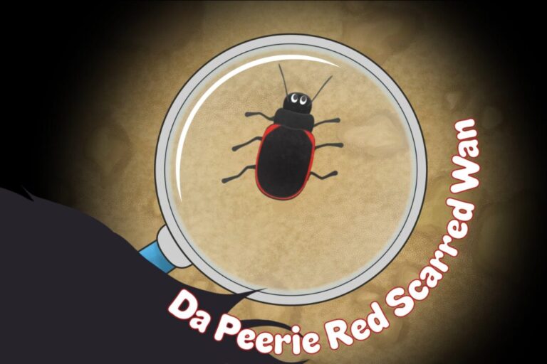 Introducing da Peerie Red Scarred Wan!