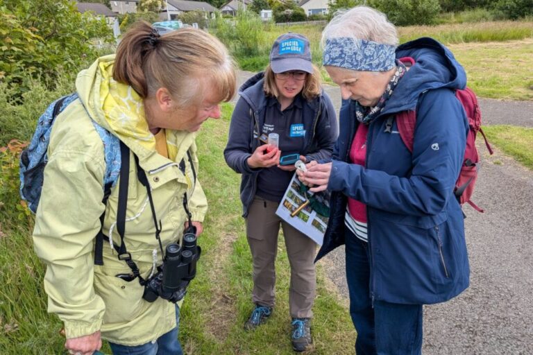 BeeWalking on the Edge: Supporting a Lasting Legacy for Bumblebee Monitoring