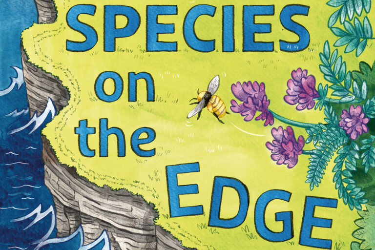 Comic celebrating community and conservation launched on the north coast