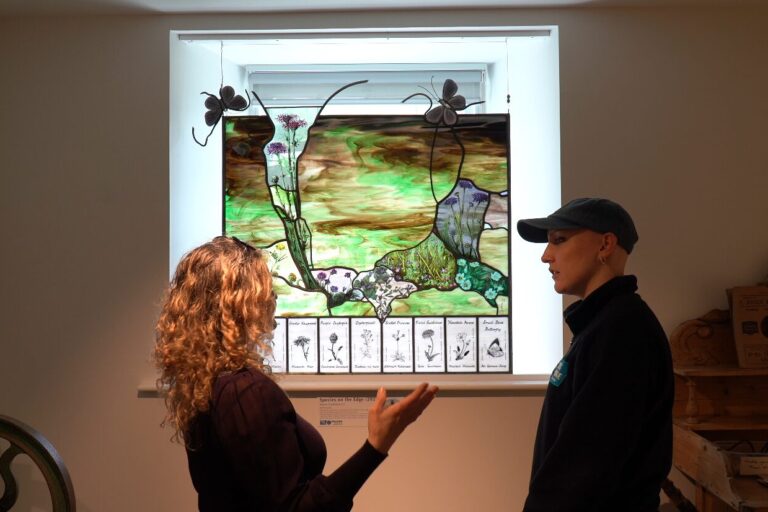 Species on the Edge Art Exhibition, Bettyhill, 17 – 26 November
